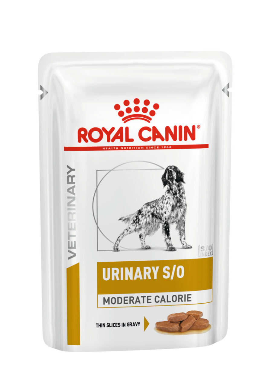1277000 Royal Canin Canine Vet Ração Húmida Urinary S/O Moderate Calorie - Gravy