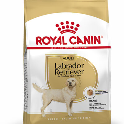 Royal Canin Labrador Retriever Adult