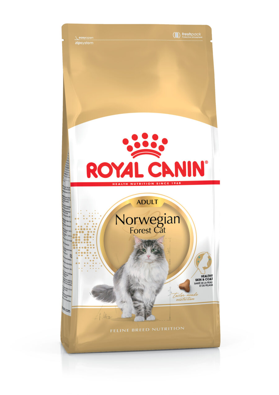 2516600 scaled Royal Canin Norwegian Forest Cat
