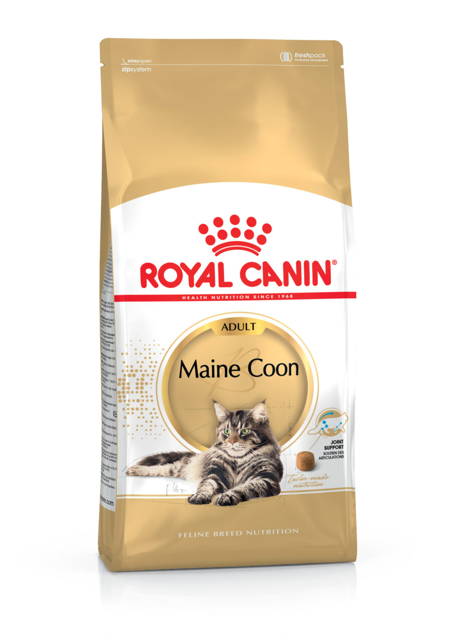 2550600 scaled Royal Canin Maine Coon