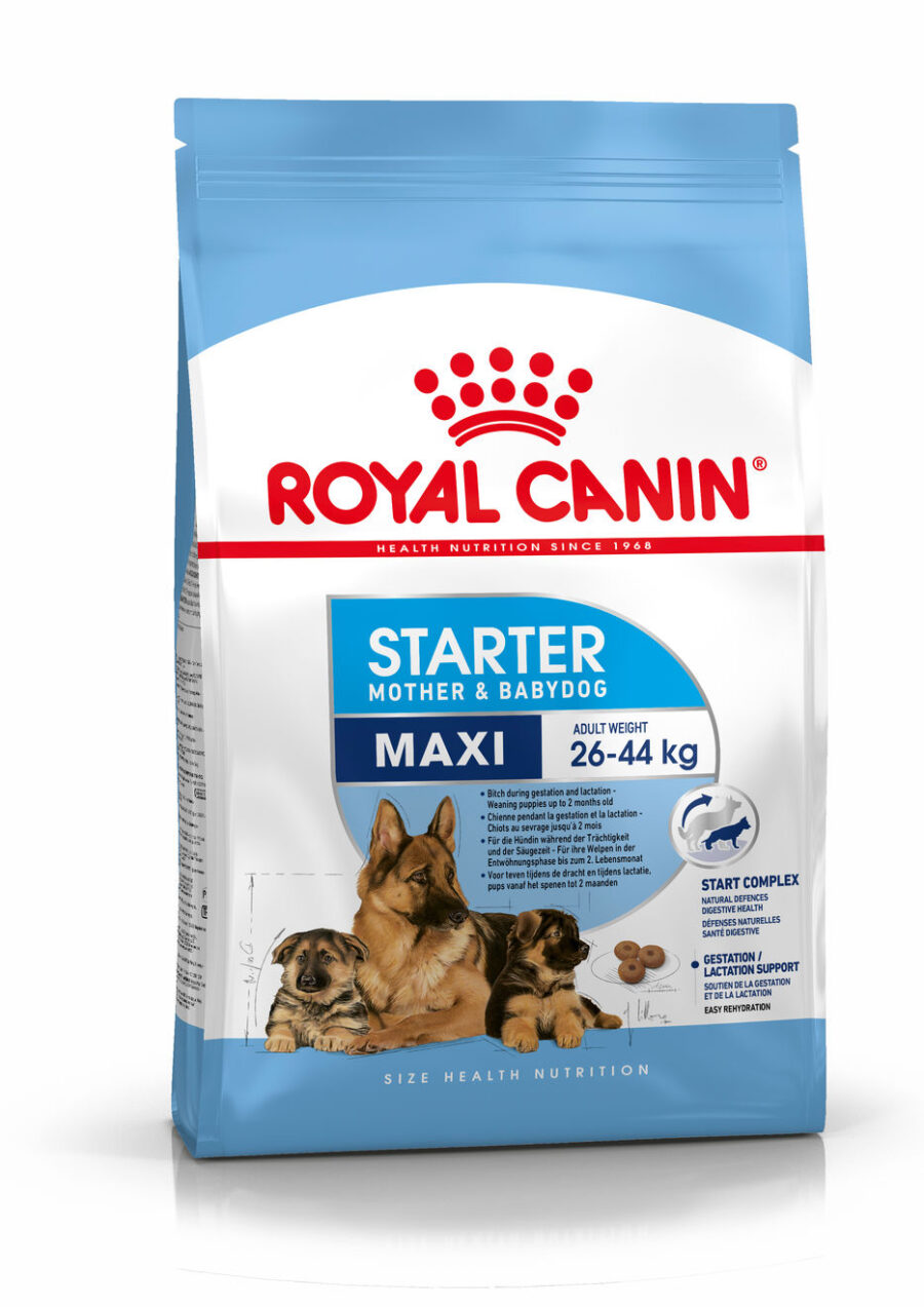 2994401 Royal Canin Maxi Starter Mother & Babydog