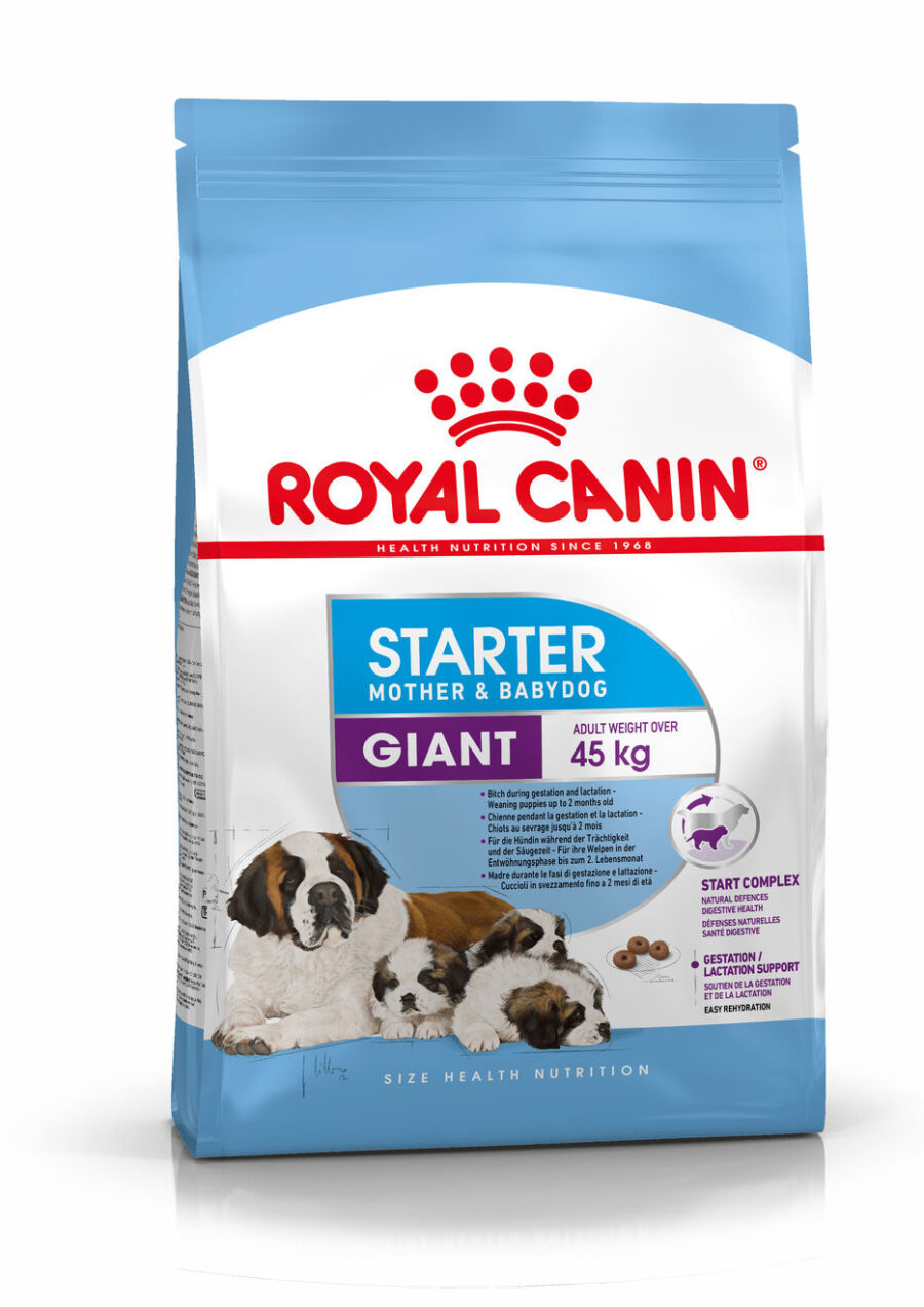 2996801 Royal Canin Giant Starter Mother & Babydog