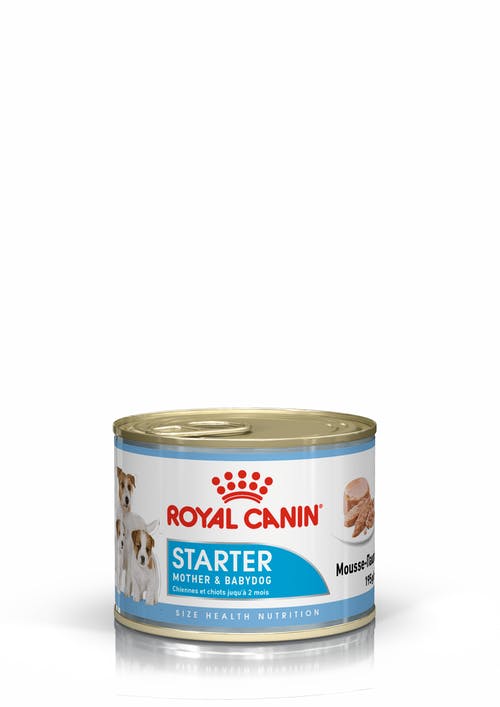4077000 Royal Canin Ração Húmida Starter Mousse