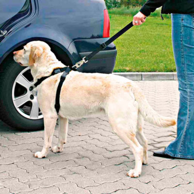 TX1291 1 Cinto de Segurança Para Cães