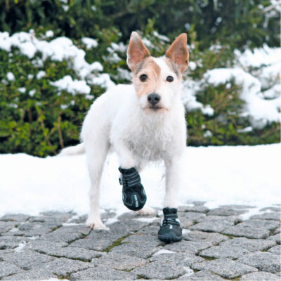 TX19460 3 Bota Protetora "Walker Active" Para Cães