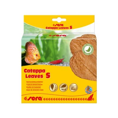 640096 3 sera catappa leaves hojas almendro indio s TS Products