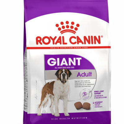 PACKSHOT Royal Canin Giant Adult