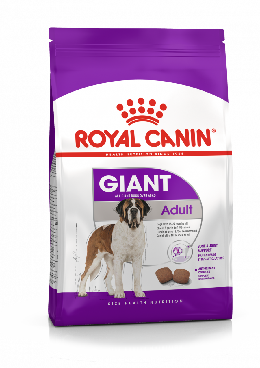 PACKSHOT Royal Canin Giant Adult
