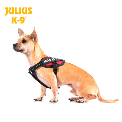 TX14977 7 Chest Pad (Distrib. Pressao) ParaPeitorais Julius K-9