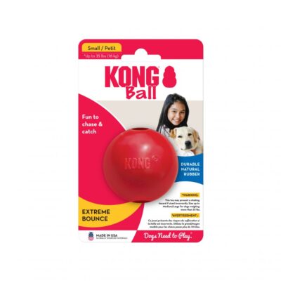 KB2E 2 Kong Ball
