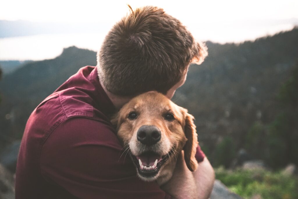 eric ward ISg37AI2A s unsplash 2 10 dicas para manter o seu cão mais saudável e feliz