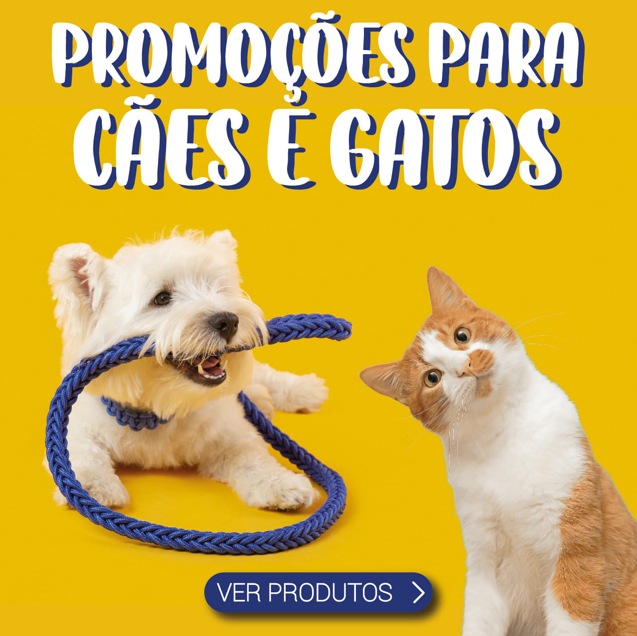 orniex gato e cao Prancheta 1 Campanha dia do animal