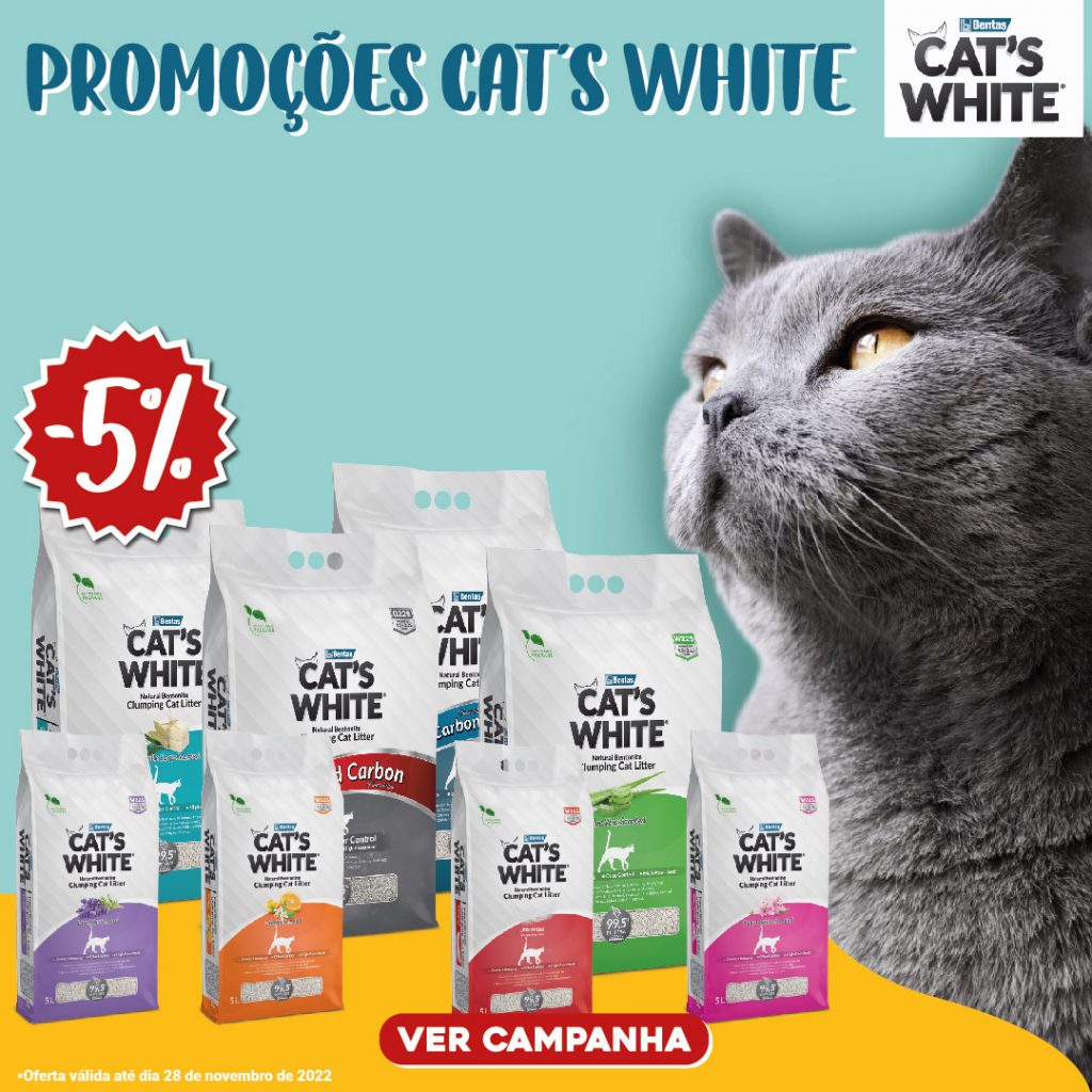 Cats white Prancheta 1 Campanha Black Friday 2022