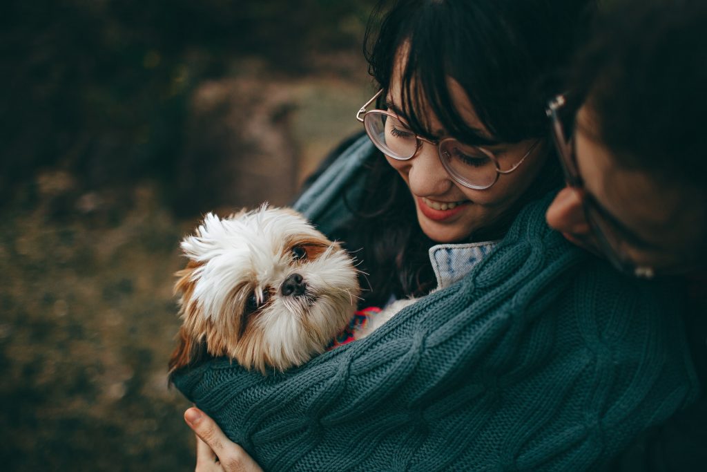 helena lopes u4uGoUBxmCE unsplash 6 dicas para cuidar do seu cão no inverno