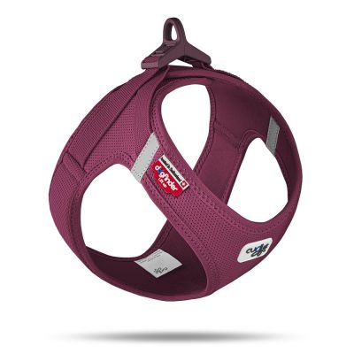 7640144829681 Peitoral Curli Clasp Air Mesh Bordeaux