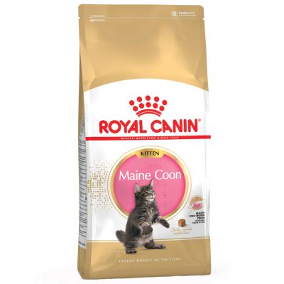 la pla royalcanin coon kitt 0 Royal Canin Kitten Maine Coon